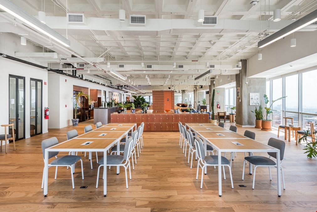 Prolongación Paseo De La Reforma 1015