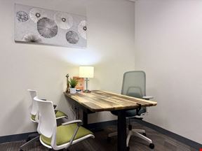 Room to Breathe (Therapy Room & Day Office) ~ Meadow