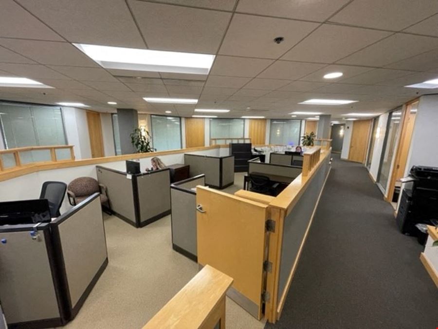 Cubicle - Marlton