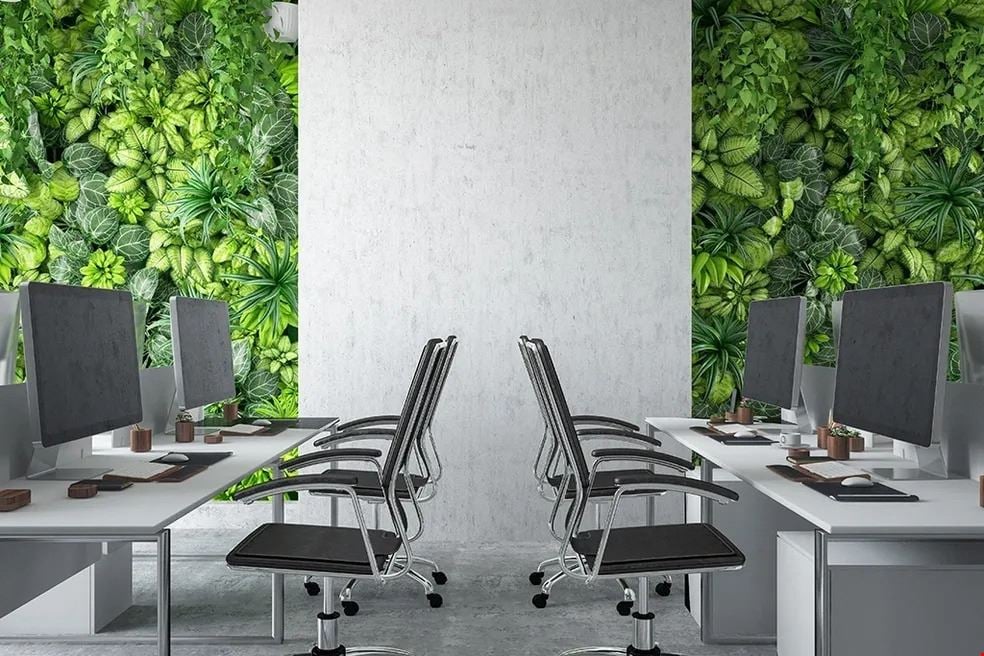 Grasshoppers ~ Eco-work Space - INDUS