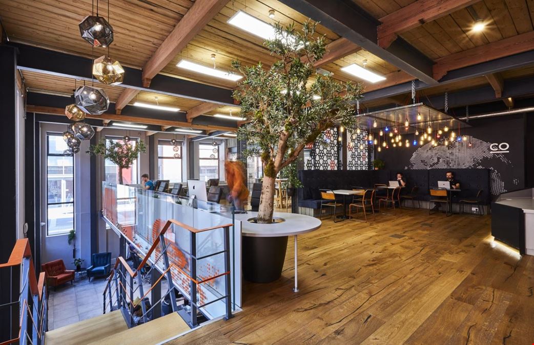 Colony - Jactin House