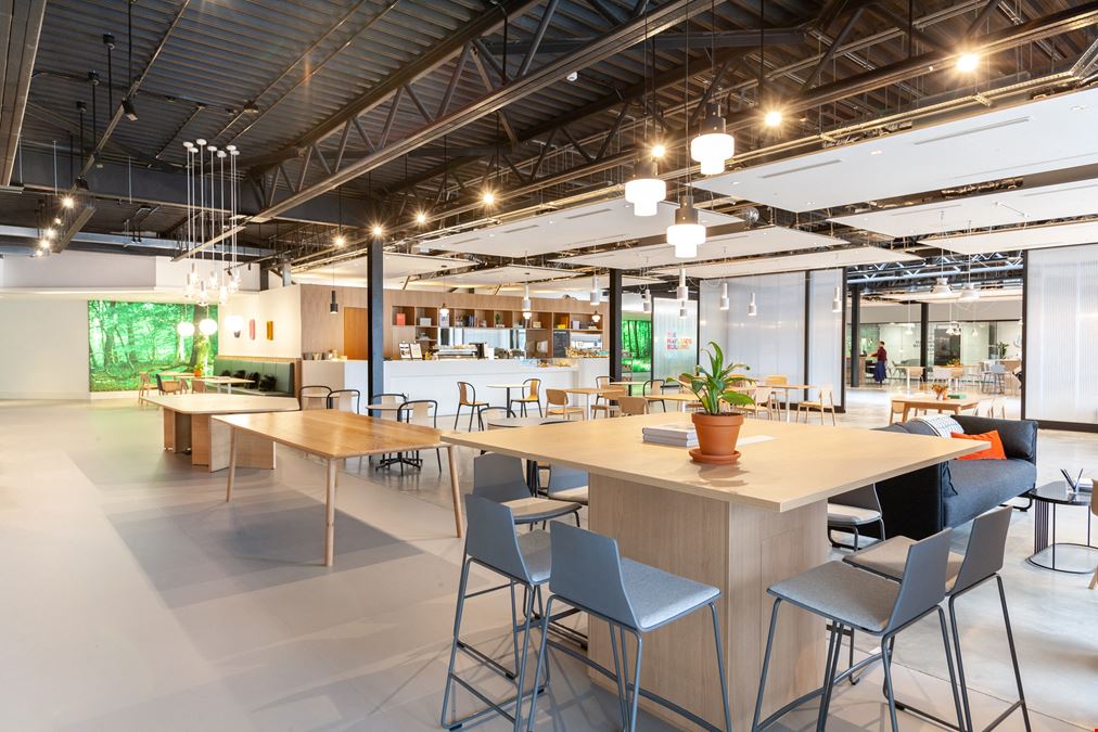 Spaces - The Maylands