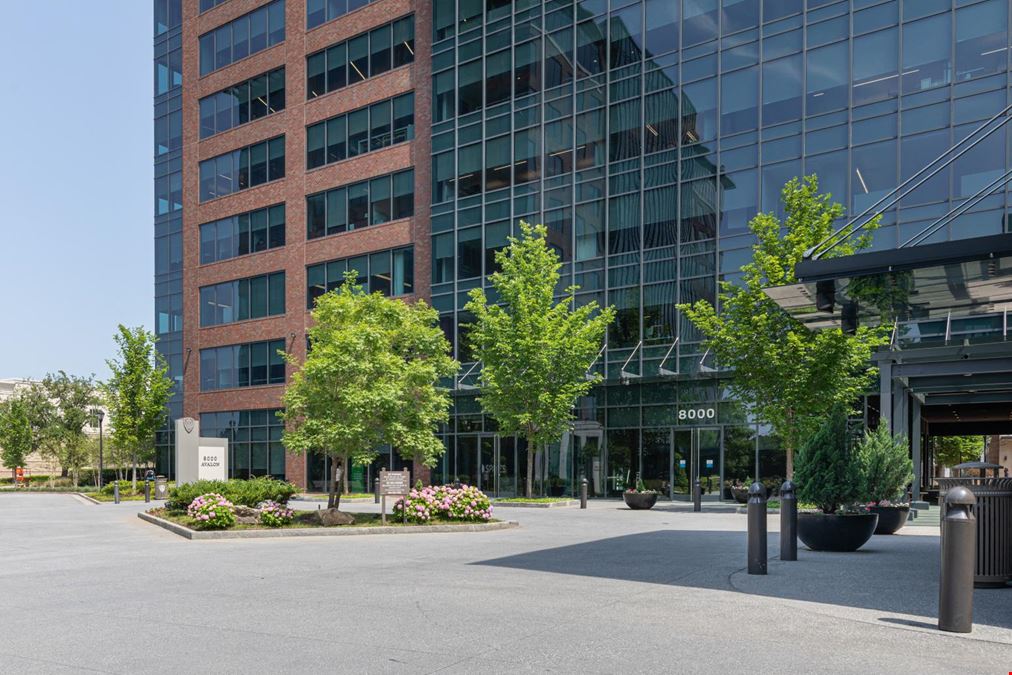 Spaces The Avalon Center