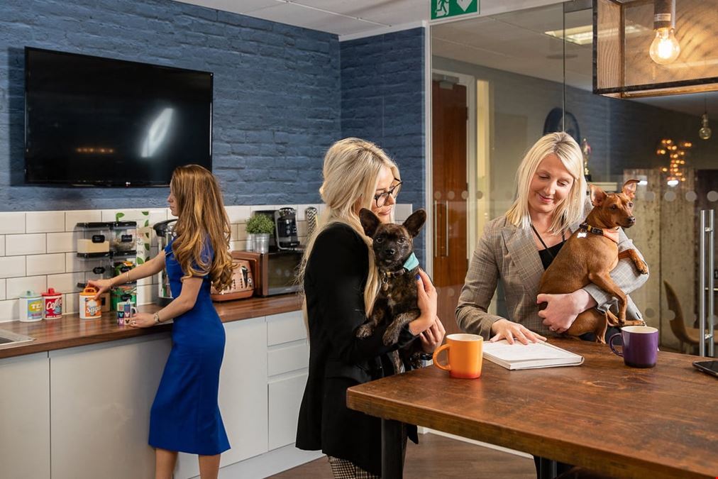 Bruntwood - The Plaza