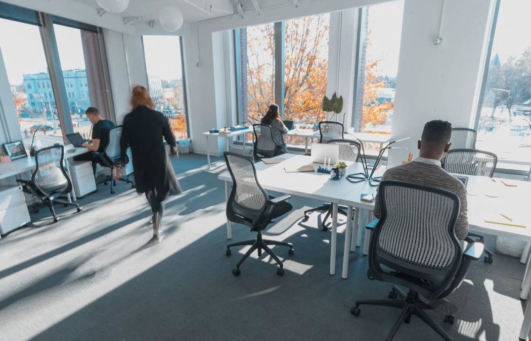 The Yard: Washington DC