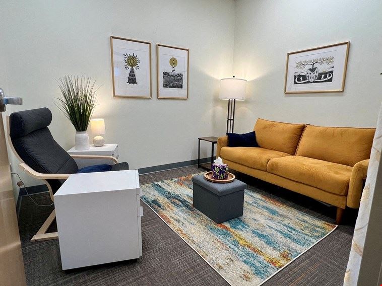 Shared Therapy Office 253
