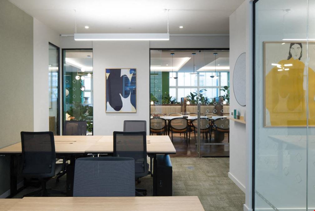 Grosnover Greater 50