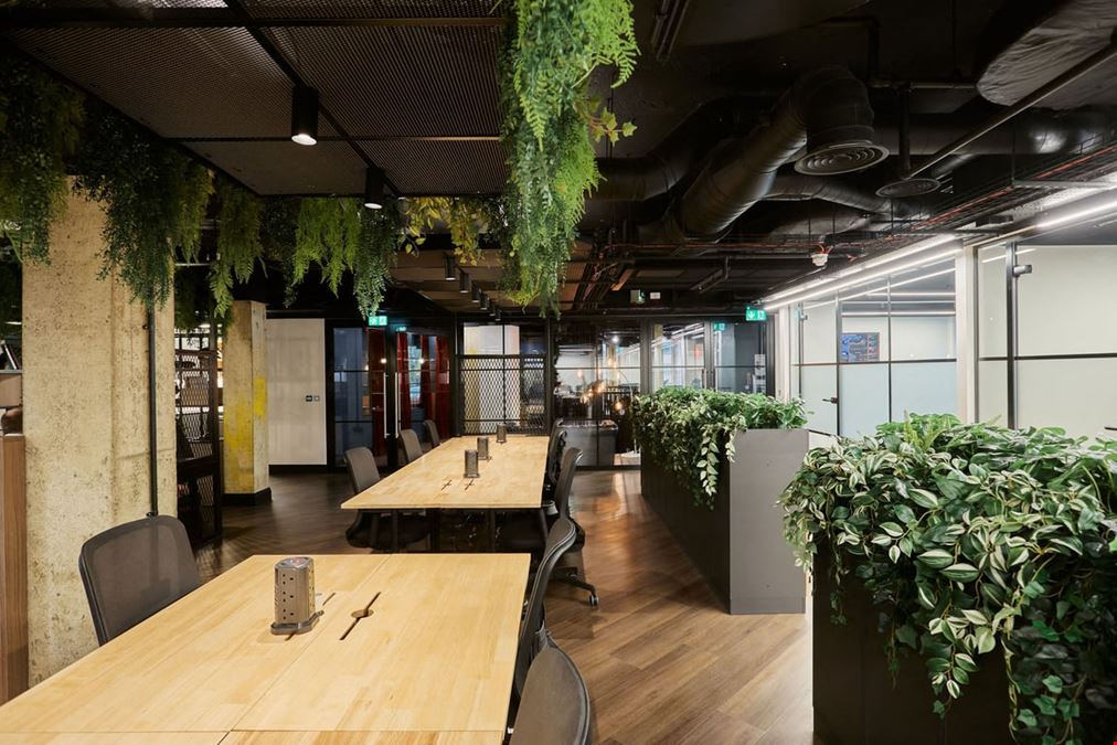 Apex Coworking - West Hampstead