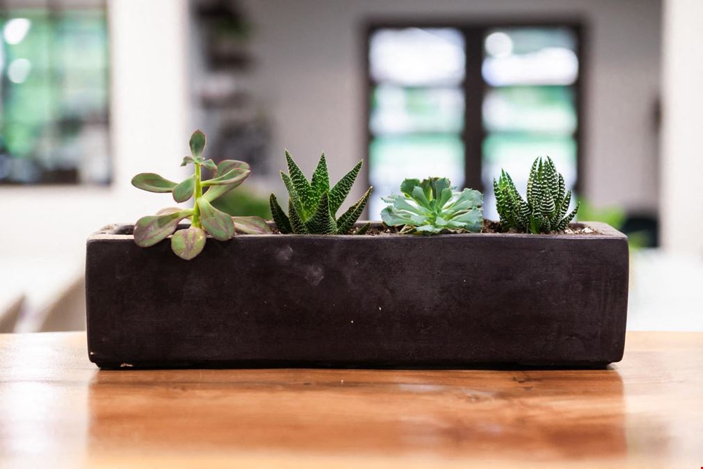 Kinected Spaces Portland