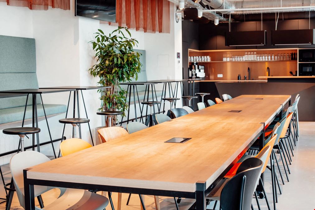 Brain Embassy - Belgium - Antwerpen