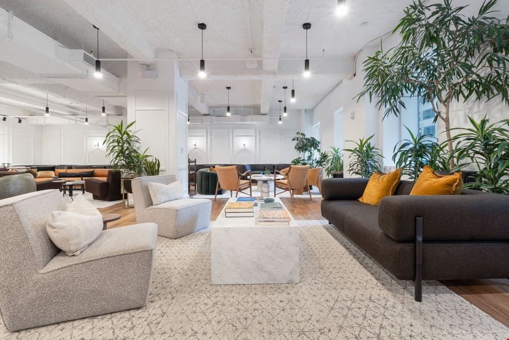 Studio - Grand Central