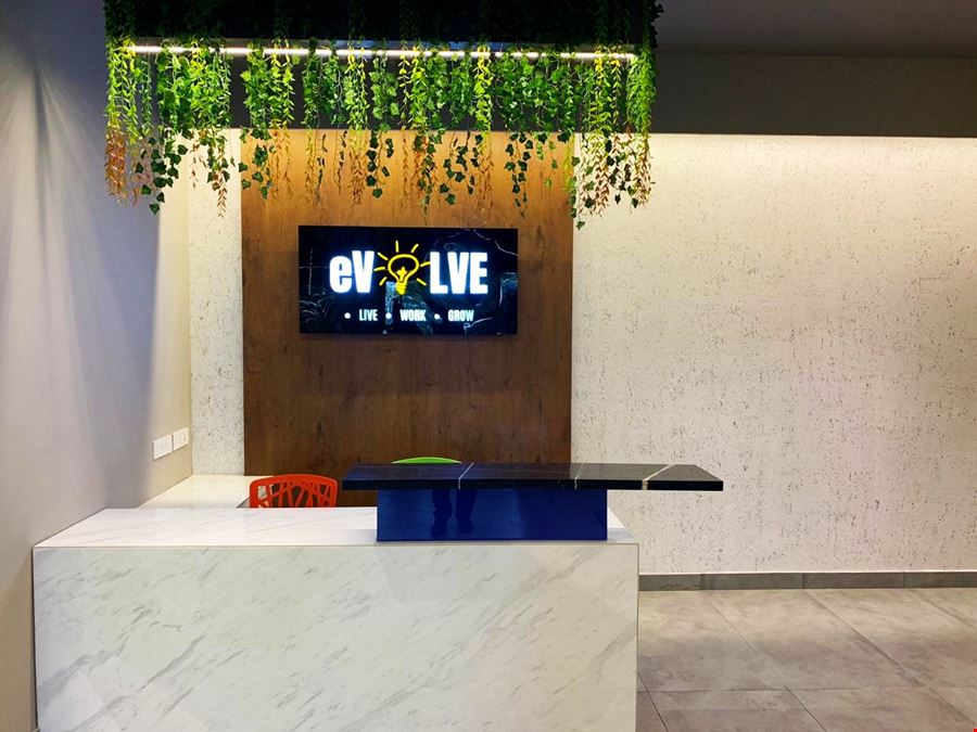 Evolve Work Studio