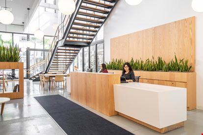 Spaces The Wynwood Cube