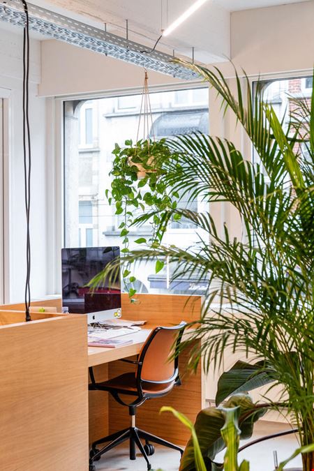 Silversquare  Louise