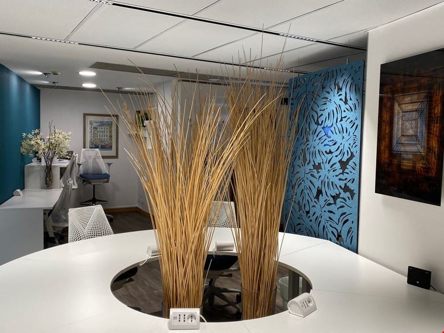 Pick Center - Boezio