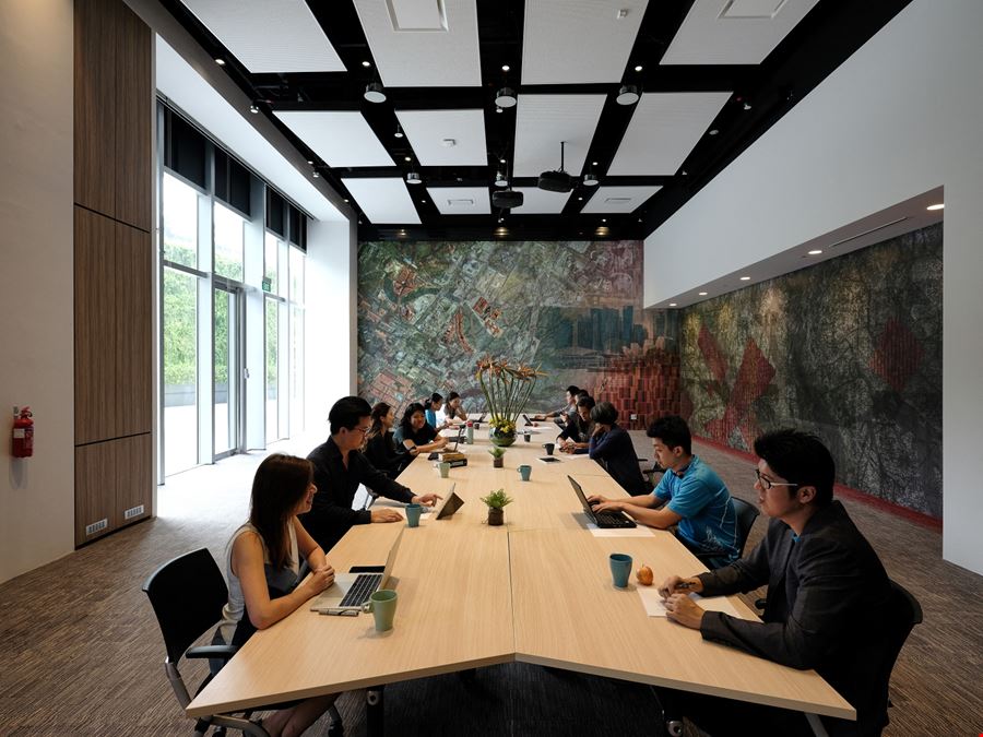 The Work Project - Ascent