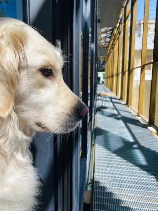 V7 Startup Studio - Bucharest