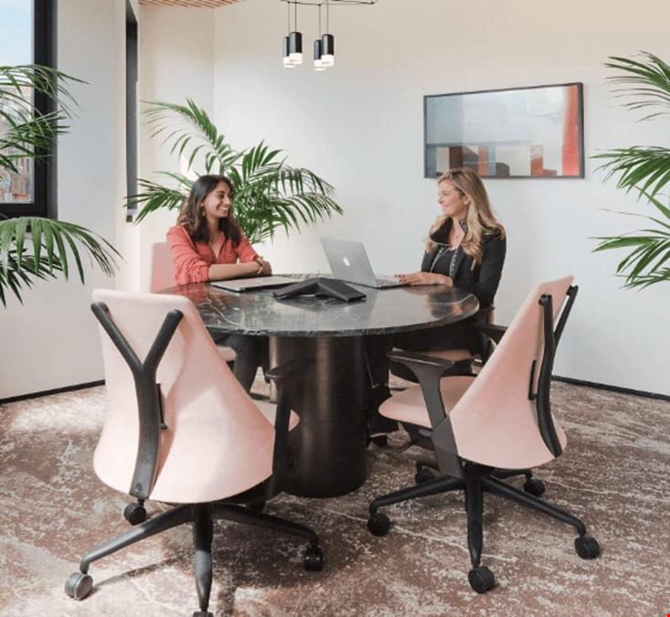 CANOPY - Jackson Square