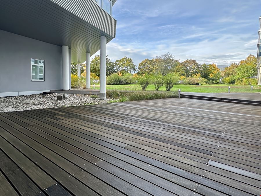 Theodor-Heuss-Anlage