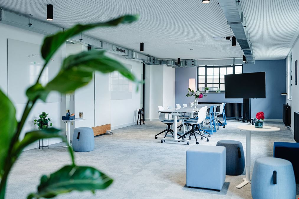 Satellite - THE MALT