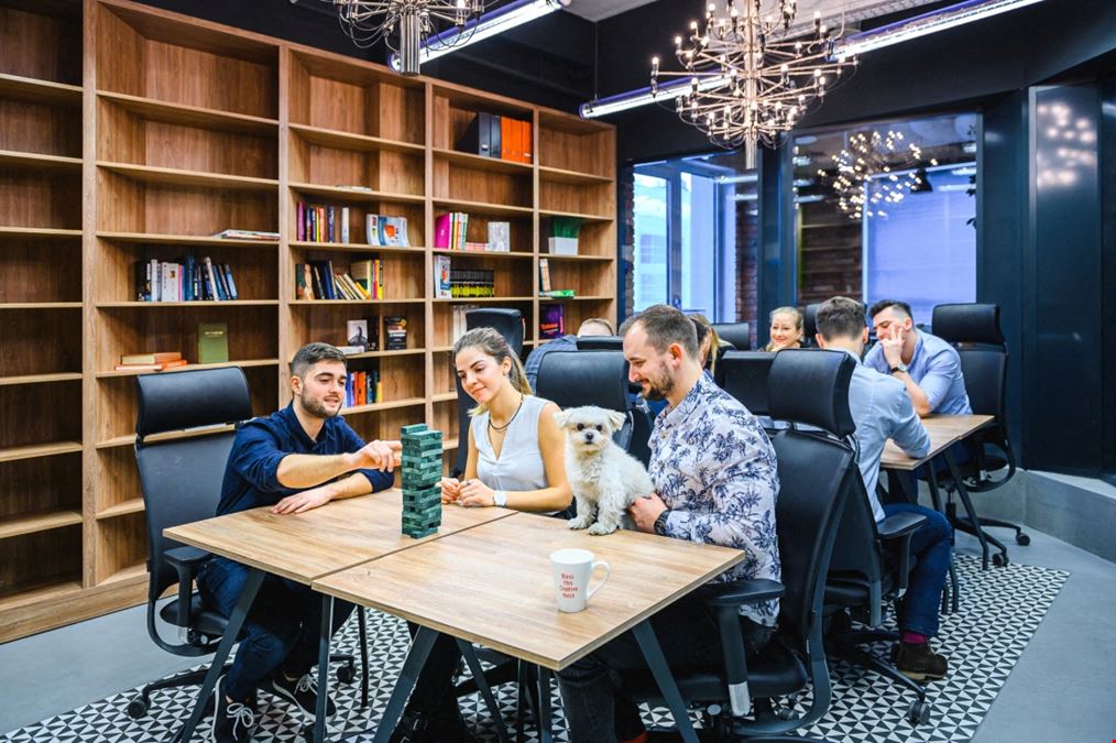 Brain Embassy Postepu