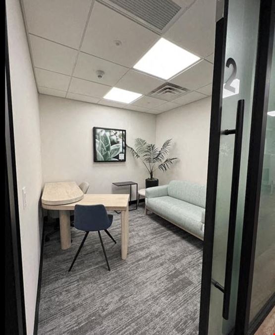 Moss Wellness Workplace - MOSS Wellness Workspace