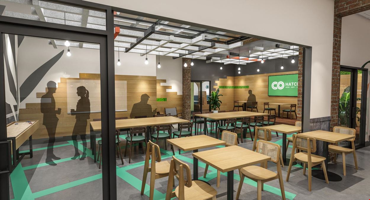 COhatch Tarpon Springs