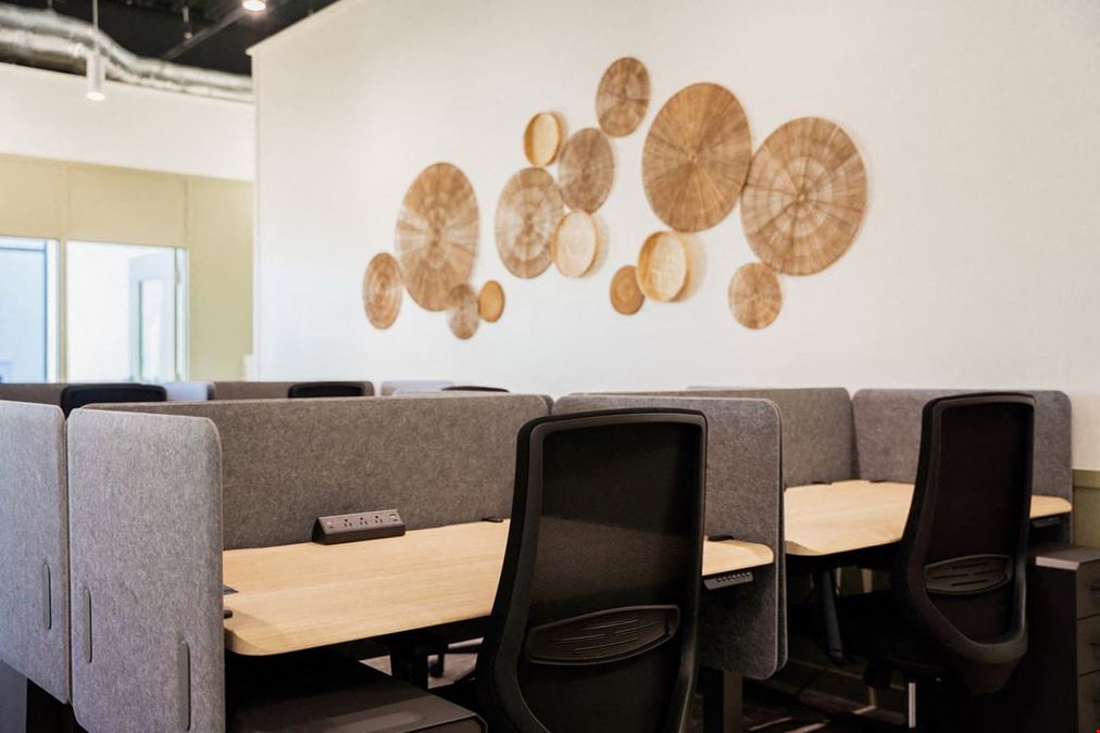 The Root - Fayetteville