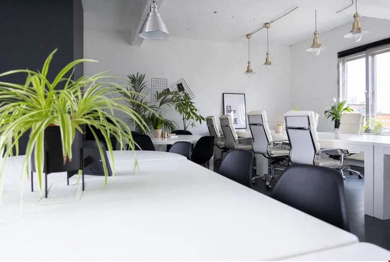 Friday Cowork - Ankerrui