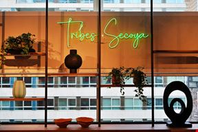 Tribes - Amsterdam FOZ