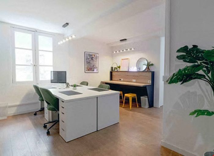 Lémurs Place du Jean-Jaurès