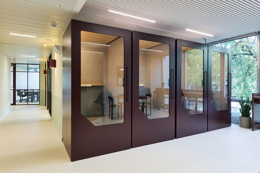 Clockwise Offices - Clockwise - Louise