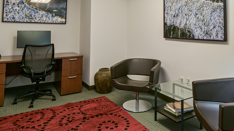 Private Office - $110/day