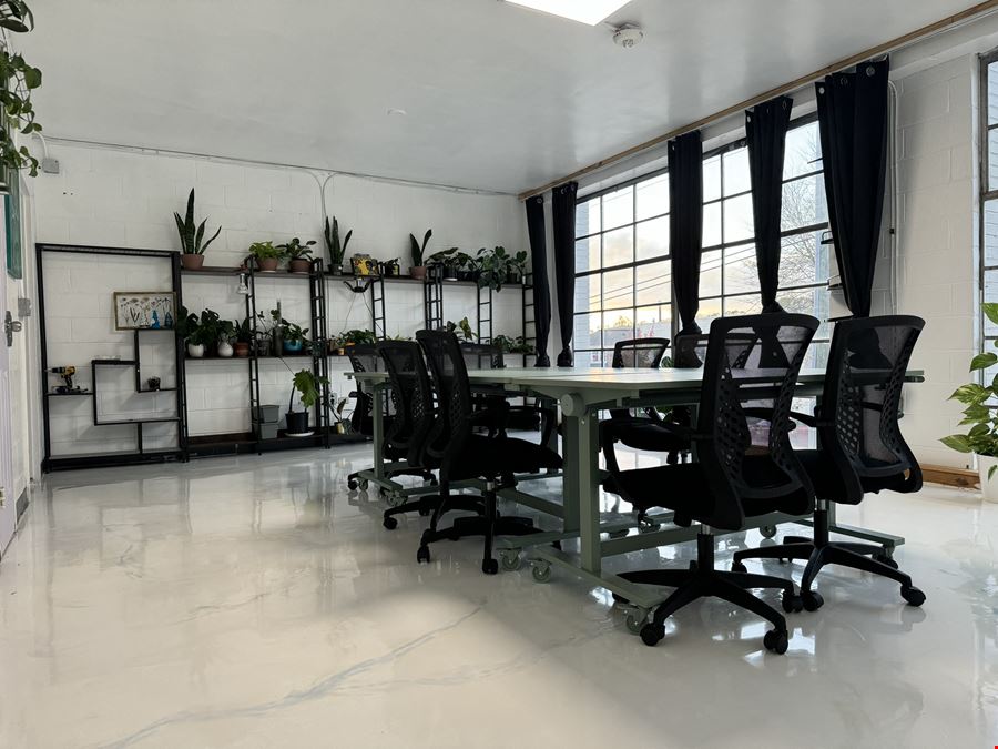 The Plant Apothecary