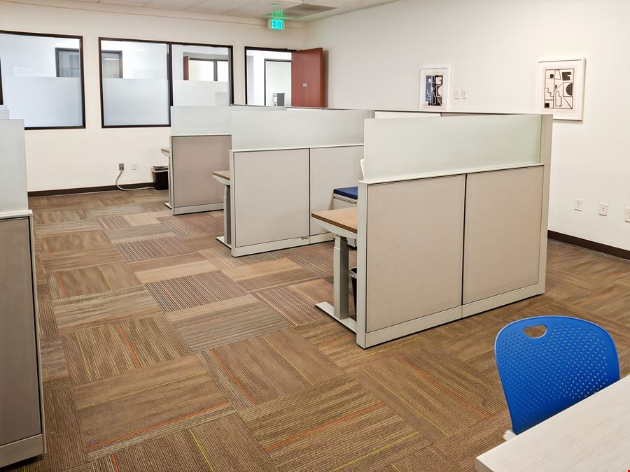 ID, Eagle - E Shore Drive