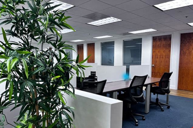 Office&Company