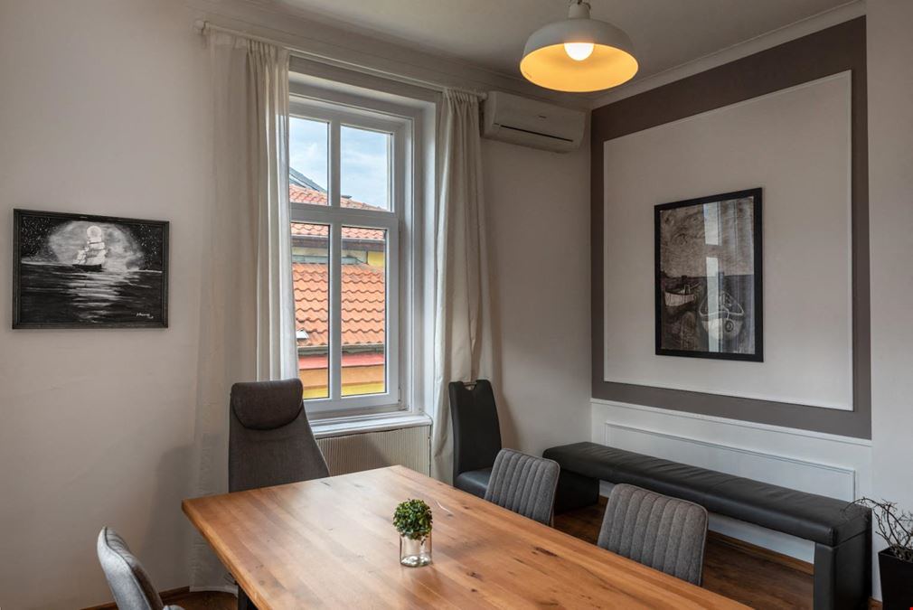 Networking Premium Coworking -  Botev