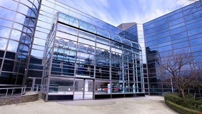 Impact Working - Spectrum