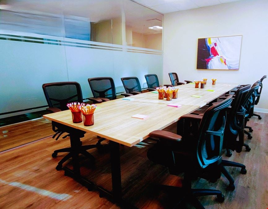 Professional Training Room