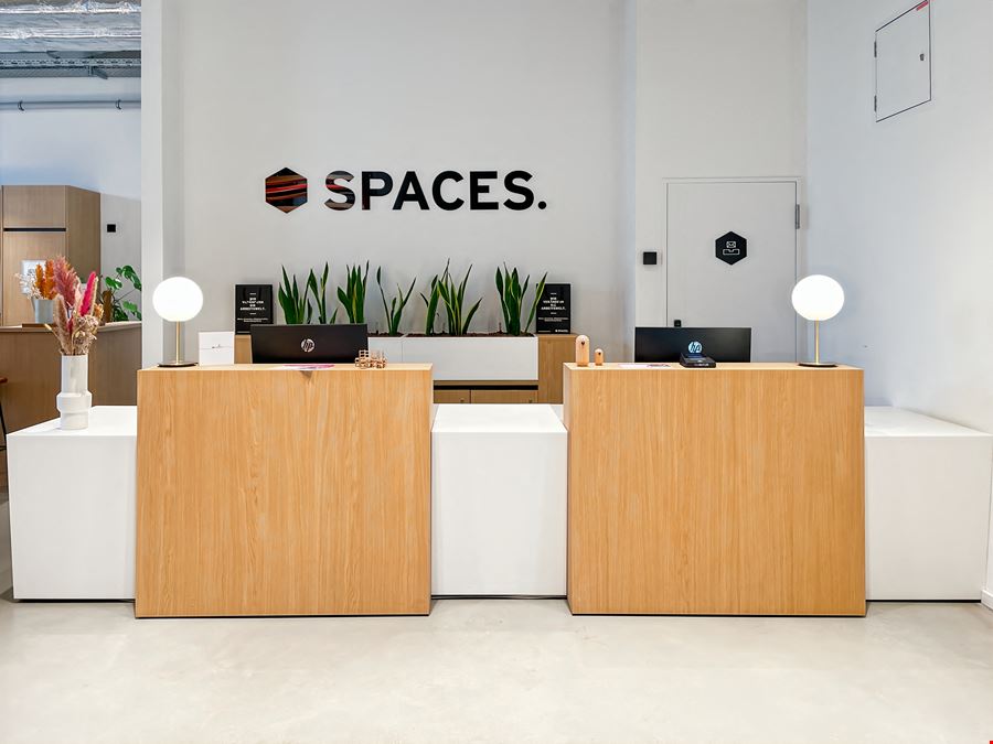 Spaces - The Cradle