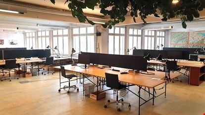 Preview of Rhizom Office space for Rent in Basel