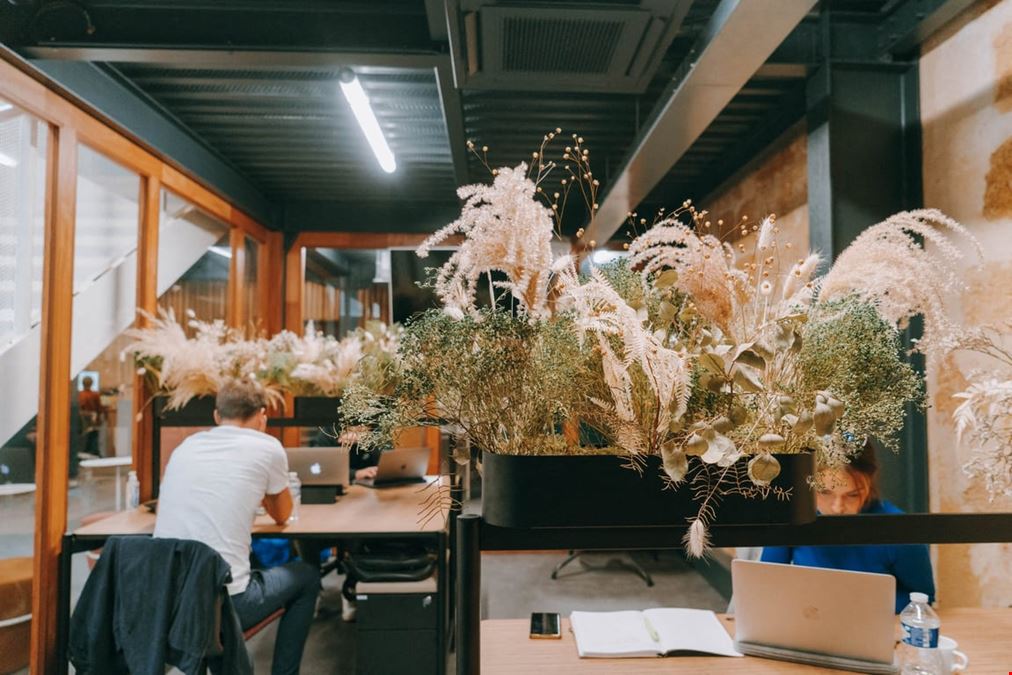 Ocube - Coworking - Bordeaux