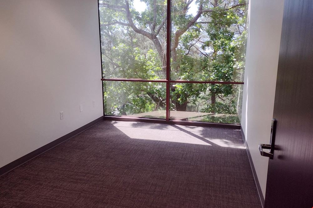 1995 North Park Place