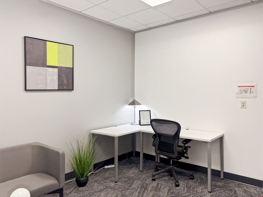 Regus - The Woodlands - Waterway