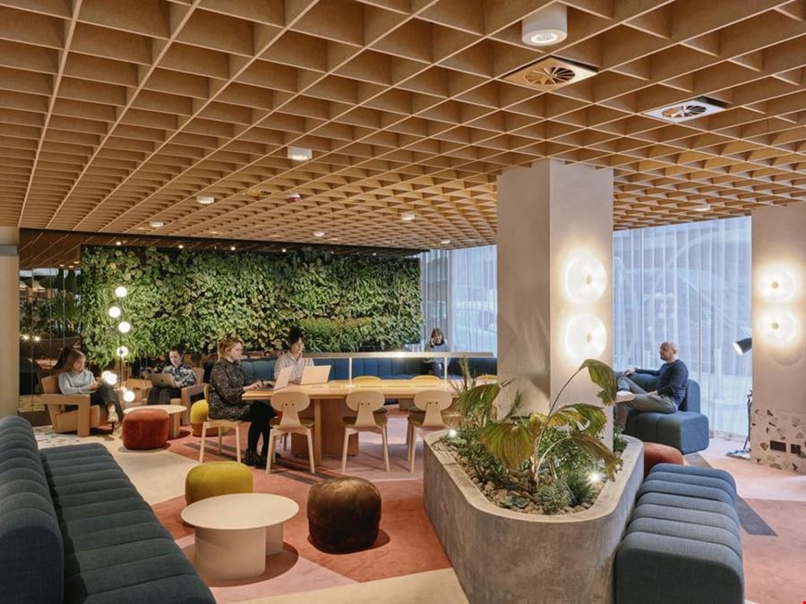 Bruntwood - The Plaza