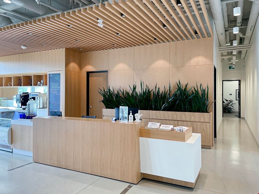 ON, Toronto - Spaces Gladstone