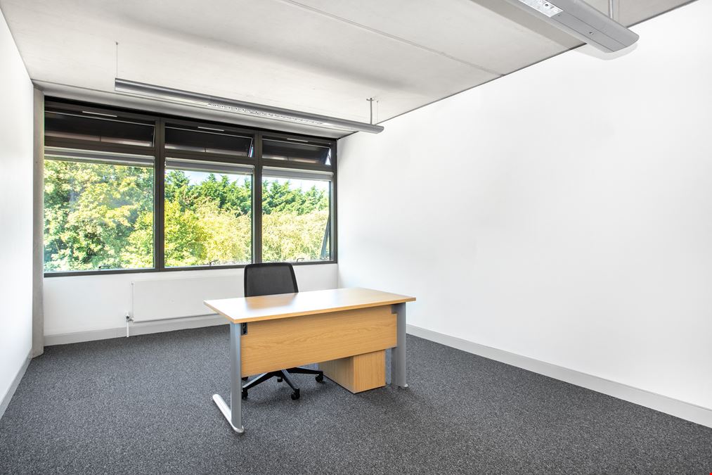 Basepoint - Great Marlings