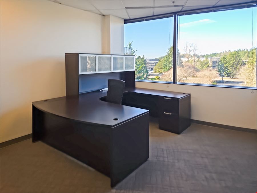 Regus - Bellevue - 160th Ave SE
