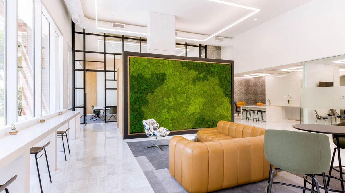 Executive Workspace - Uptown Dallas