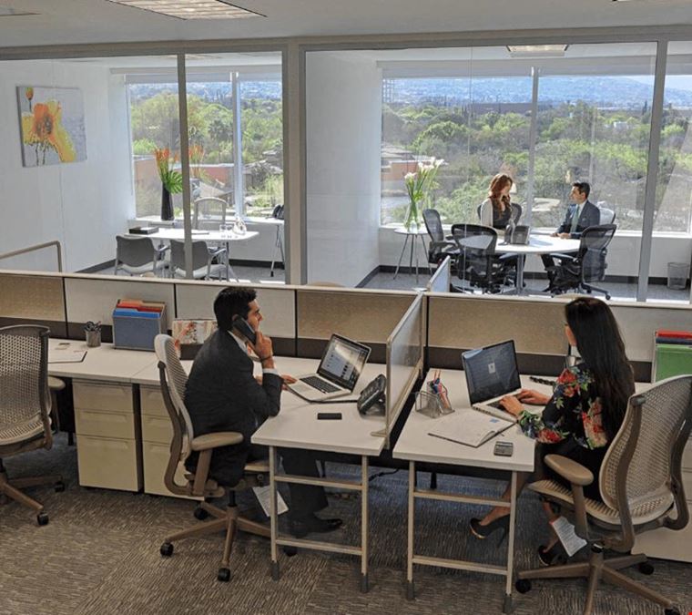 IOS Offices - Torres IOS Campestre